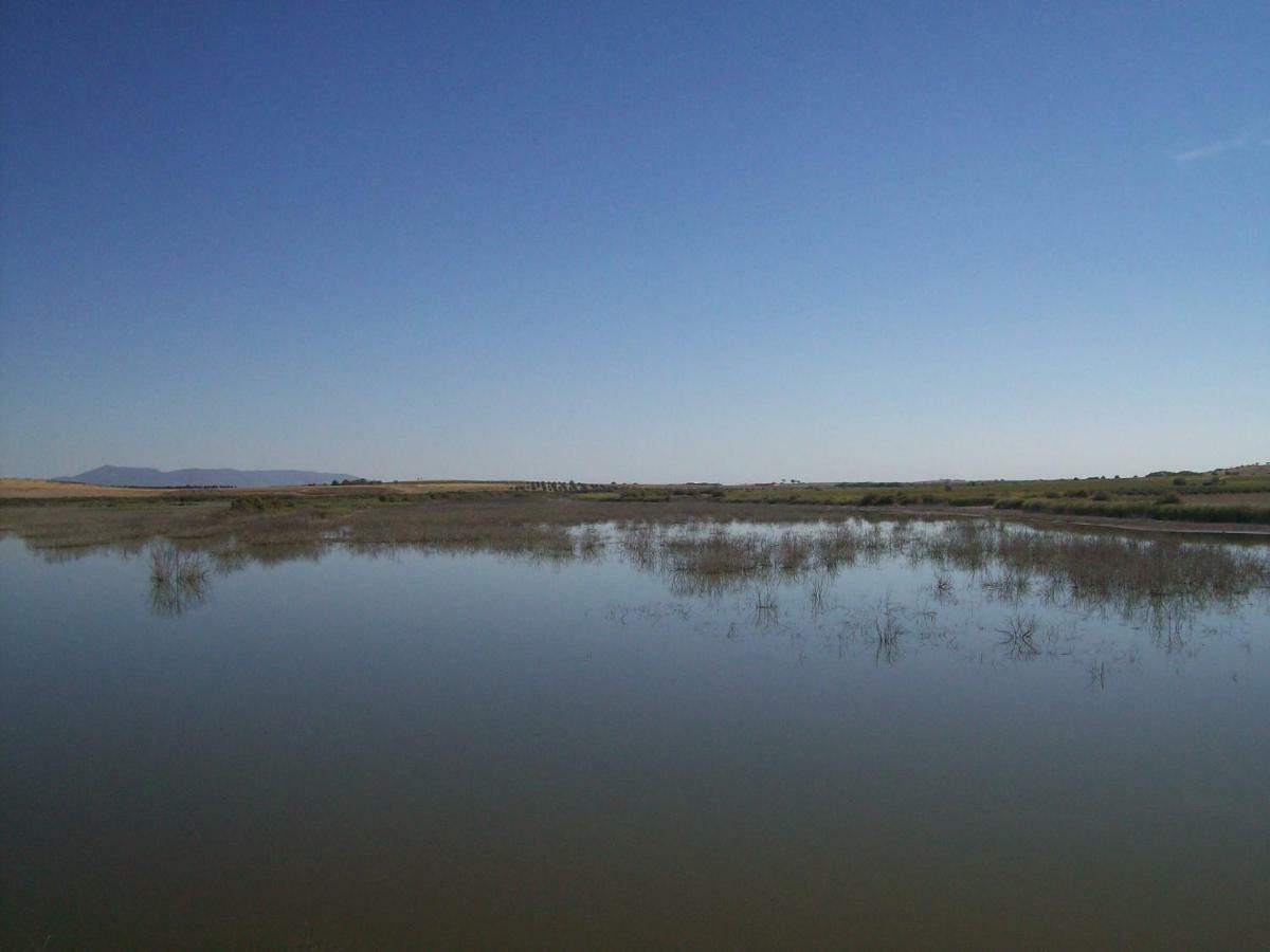 El Labriego, Casa Rural Fuente el Fresno Buitenkant foto